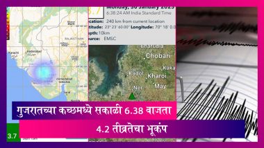 Earthquake hits Gujarat: कच्छमध्ये ४.२ रिश्टर स्केलचा भूकंप, कोणतीही जीवितहानी नाही